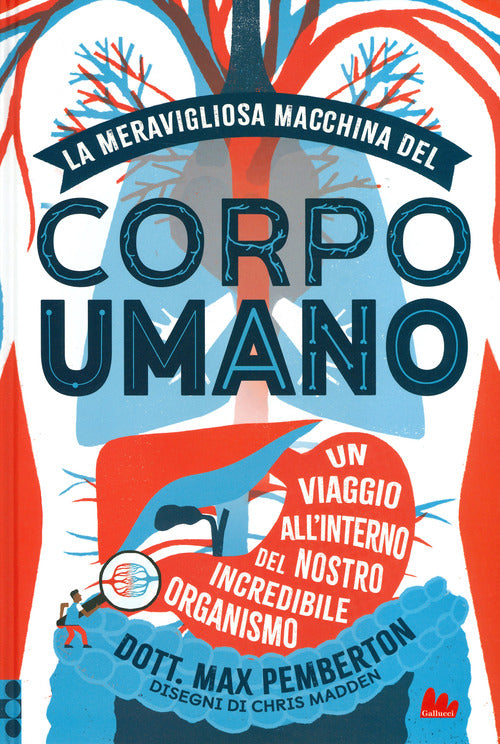 Cover of meravigliosa macchina del corpo umano. Un viaggio all'interno del nostro incredibile organismo