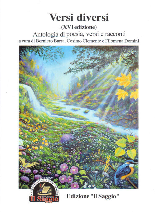 Cover of Versi diversi. Antologia di poesia, versi e racconti 16ª edizione