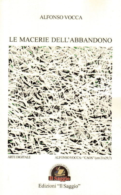 Cover of macerie dell'abbandono