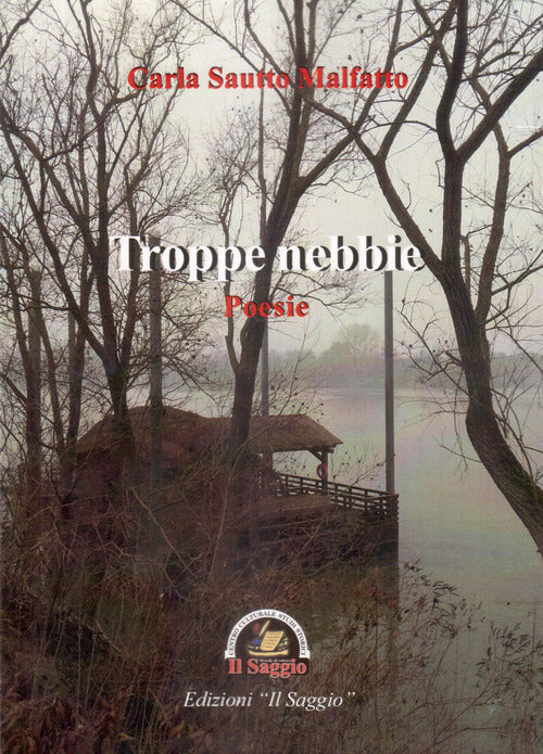 Cover of Troppe nebbie