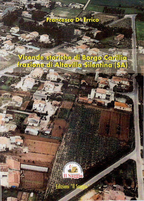 Cover of Vicende storiche di Borgo Carillia frazione di Altavilla Silentina (SA)