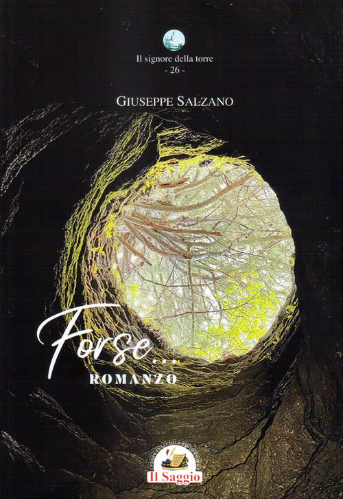 Cover of Forse.... romanzo