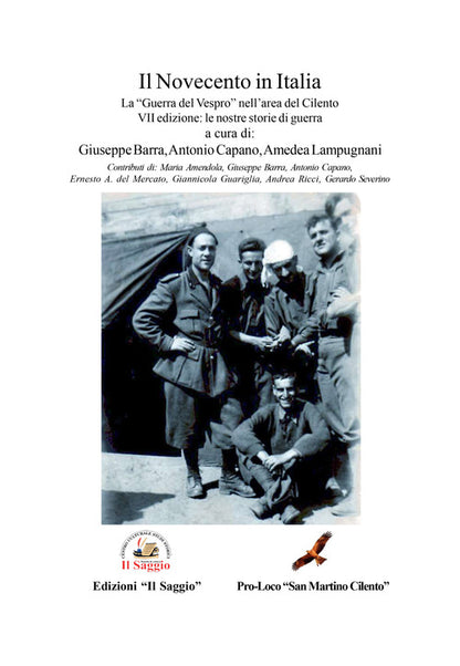 Cover of Novecento in Italia. Le nostre storie di guerra