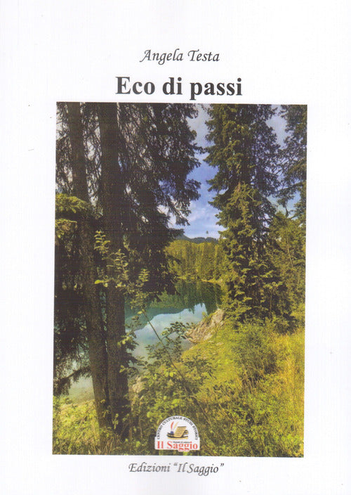 Cover of Eco di passi