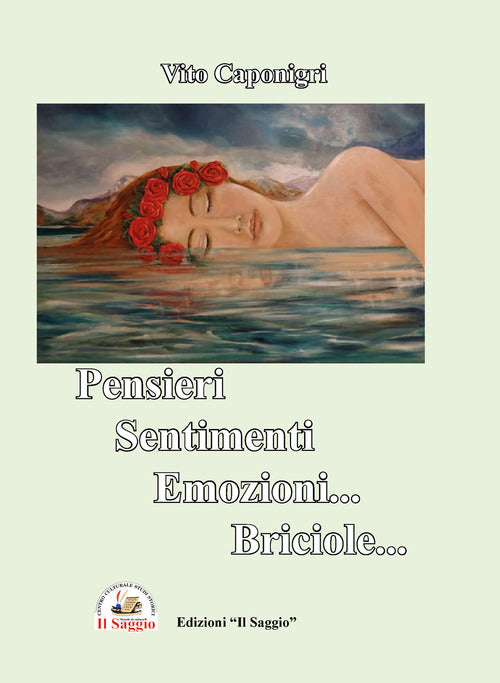 Cover of Pensieri sentimenti emozioni... Briciole...