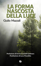 Cover of forma nascosta della luce