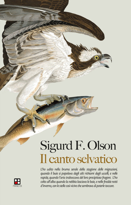 Cover of canto selvatico