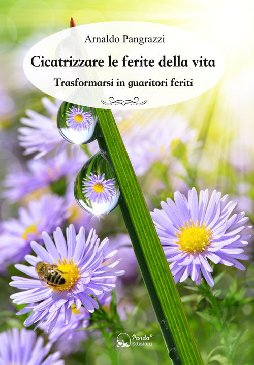 Cover of Cicatrizzare le ferite della vita. Trasformarsi in guaritori feriti