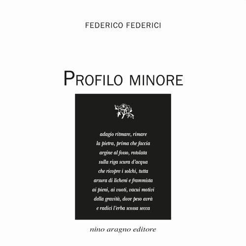 Cover of Profilo minore