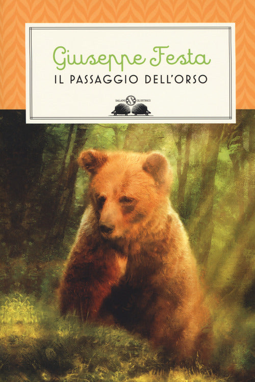 Cover of passaggio dell'orso