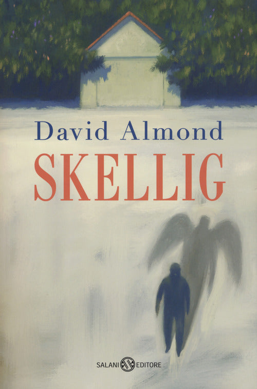 Cover of Skellig