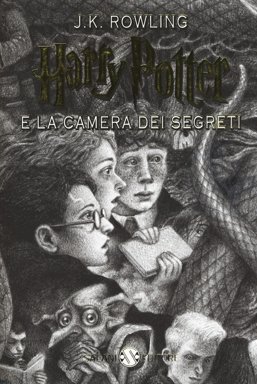 Cover of Harry Potter e la camera dei segreti