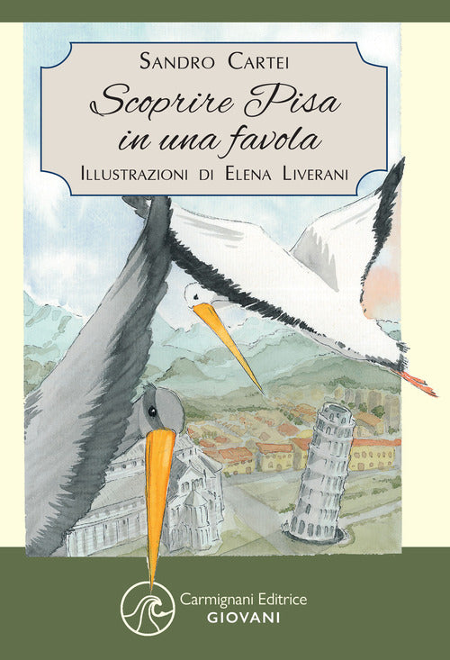 Cover of Scoprire Pisa in una favola