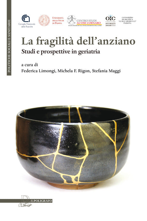 Cover of fragilità dell'anziano. Studi e prospettive in geriatria