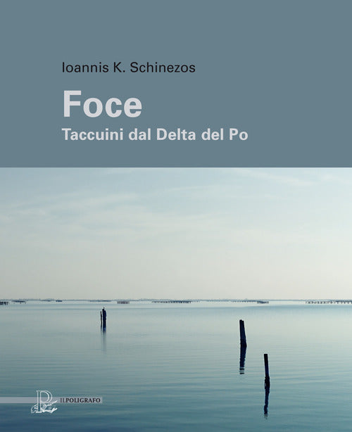 Cover of Foce. Taccuini dal delta del Po