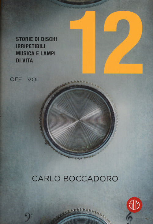 Cover of 12. Storie di dischi irripetibili, musica e lampi di vita