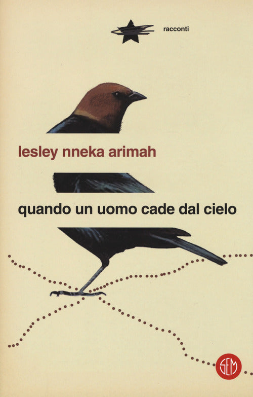 Cover of Quando un uomo cade dal cielo