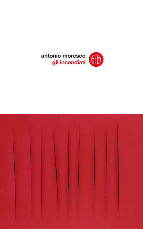 Cover of incendiati