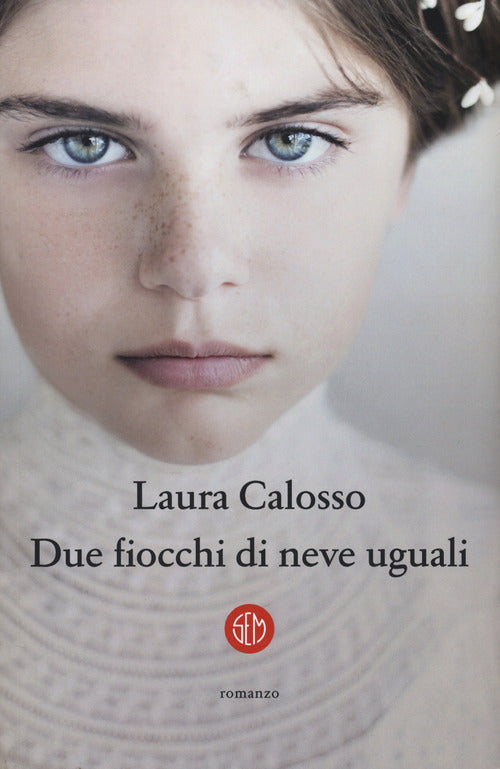 Cover of Due fiocchi di neve uguali