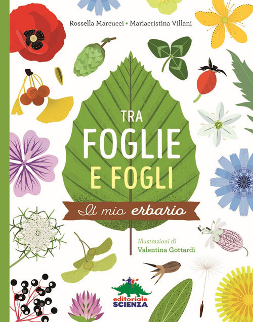 Cover of Tra foglie e fogli. Il mio erbario