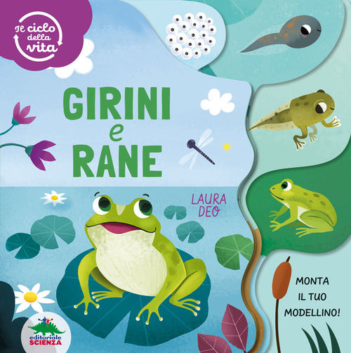 Cover of Girini e rane. Il ciclo della vita