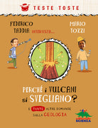 Cover of Perché i vulcani si svegliano?