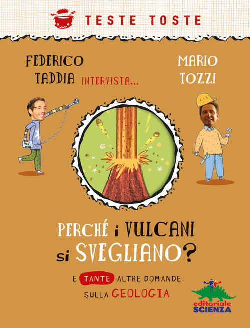 Cover of Perché i vulcani si svegliano?