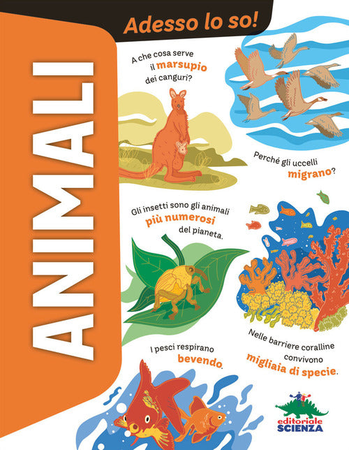 Cover of Animali. Adesso lo so!