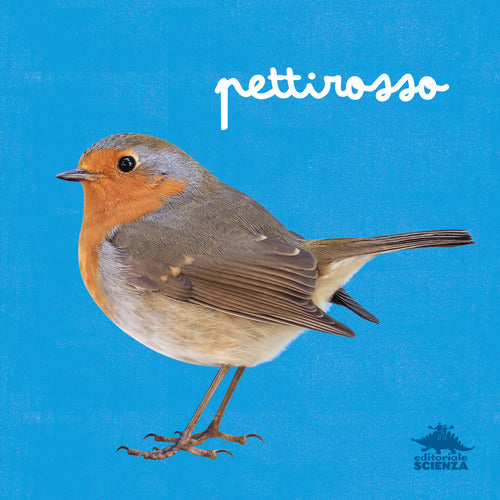 Pettirosso