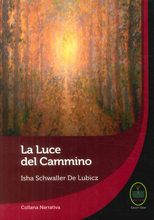 Cover of luce del cammino