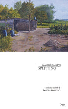 Cover of Splitting