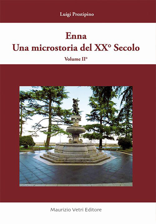 Cover of Enna una microstoria del XX secolo