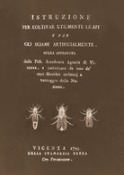 Cover of Istruzione per coltivar utilmente le api e far gli sciami artificialmente (rist. anast. 1793)