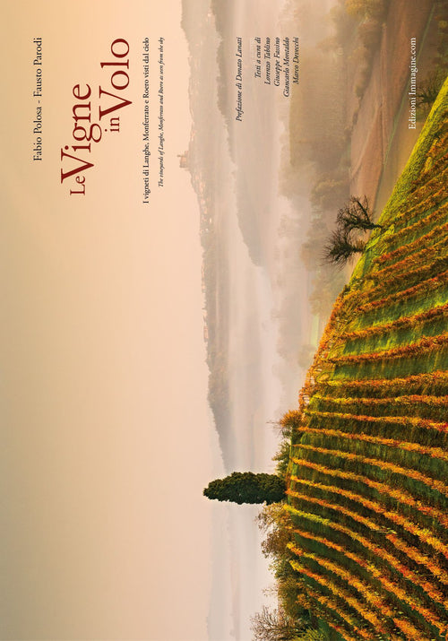 Cover of vigne in volo. I vigneti di Langhe, Monferrato e Roero visti dal cielo. Ediz. italiana e inglese