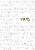 Cover of Gubbio. City of stone