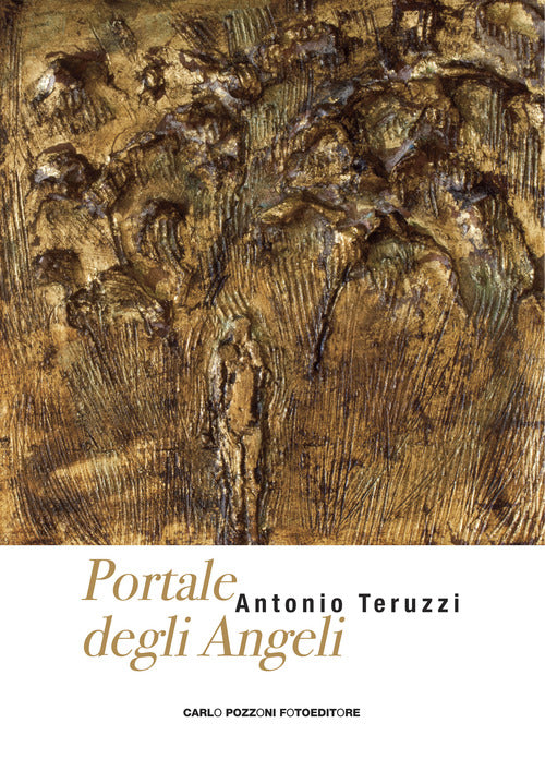 Cover of Portale degli angeli