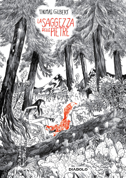 Cover of saggezza delle pietre