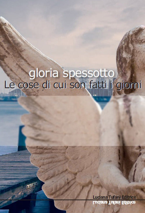 Cover of cose di cui sono fatti i giorni