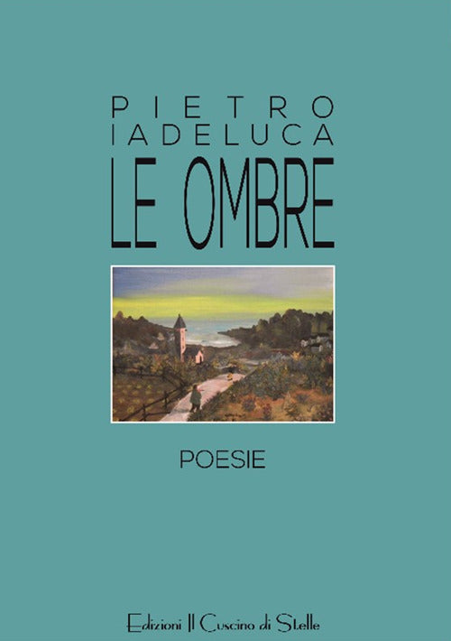 Cover of ombre