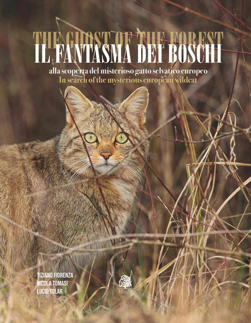 Cover of fantasma dei boschi. Alla scoperta del misterioso gatto selvatico europeo. Ediz. italiana e inglese