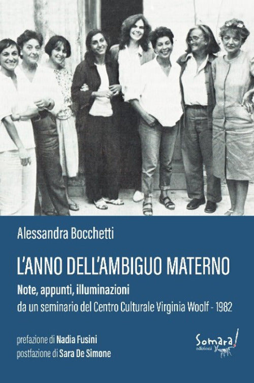 Cover of anno dell'ambiguo materno: note, appunti, illuminazioni da un seminario al Centro Culturale Virginia Woolf 1982