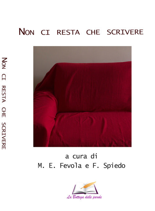 Cover of Non ci resta che scrivere