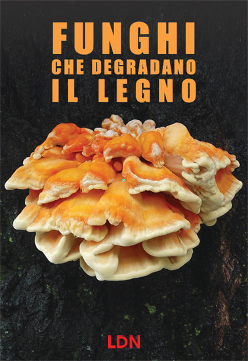 Cover of Funghi che degradano il legno. Dinamiche di azione e conseguenze per gli alberi in ambiente forestale e urbano