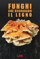 Cover of Funghi che degradano il legno. Dinamiche di azione e conseguenze per gli alberi in ambiente forestale e urbano
