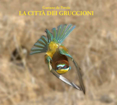 Cover of città dei gruccioni