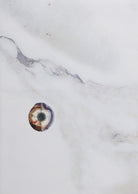 Cover of Honesty of matter