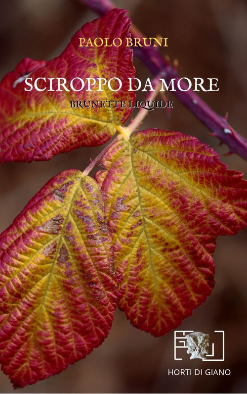 Cover of Sciroppo da more. Brunette liquide