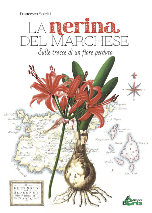 Cover of nerina del marchese. Sulle tracce di un fiore perduto