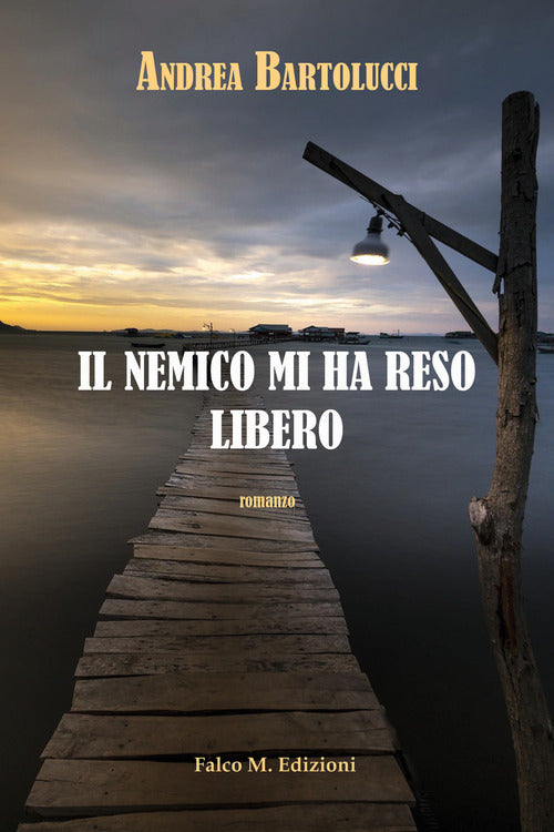 Cover of nemico mi ha reso libero
