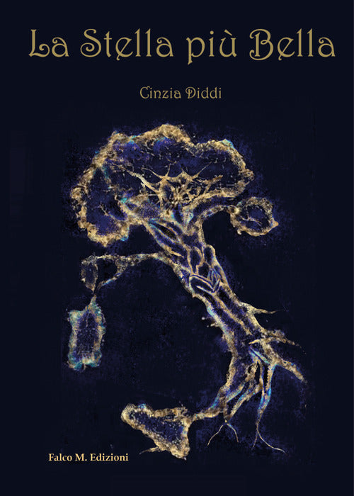 Cover of stella più bella